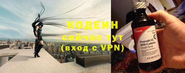 индика Балахна