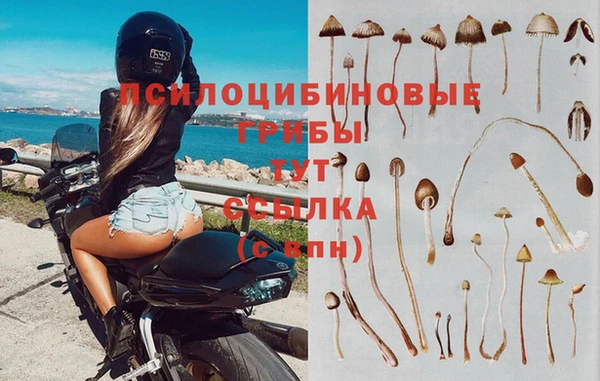 индика Балахна