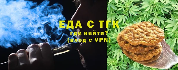индика Балахна