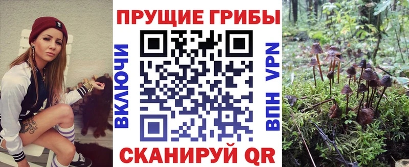 как найти закладки  ОМГ ОМГ рабочий сайт  Псилоцибиновые грибы GOLDEN TEACHER  Янаул 